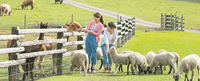 富士見亭 マザー牧場入場券付き宿泊プラン