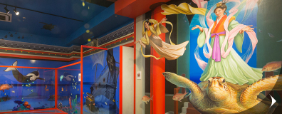 3D美術館体験付き平日限定プラン