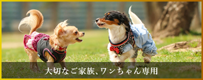 大切なご家族、ワンちゃん専用