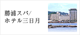 勝浦ホテル三日月
