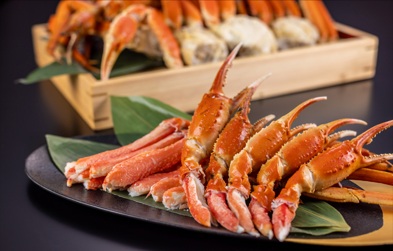 バイキングイメージ