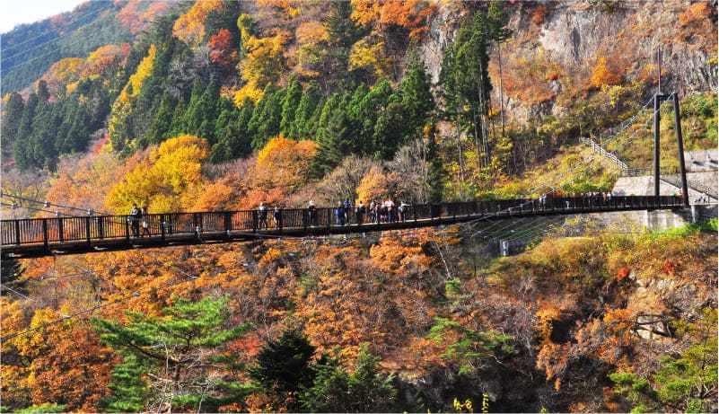 鬼怒楯岩大吊橋