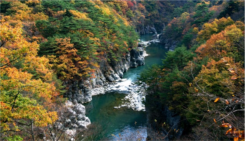 龍王峡