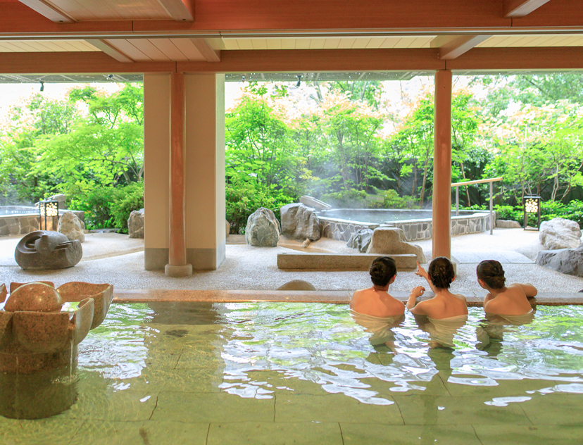 日帰り入浴 Day Trip