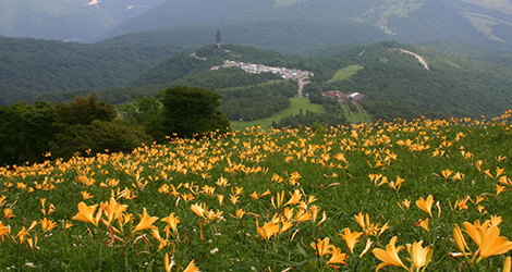 霧降高原