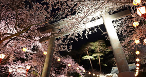 鬼怒川温泉夜桜まつり