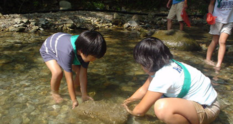 魚のつかみどりin小原沢
