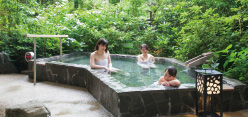 日帰り入浴ご利用案内