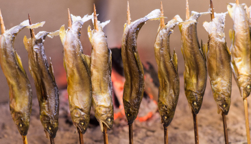 地元川魚の塩焼きは絶品！