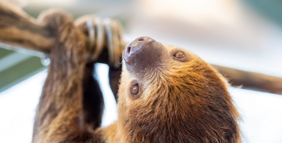 干潟の動物園 アニマルリゾート