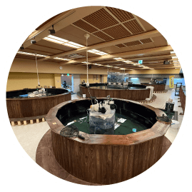 横浜釣り堀王国 龍宮城スパホテル三日月店