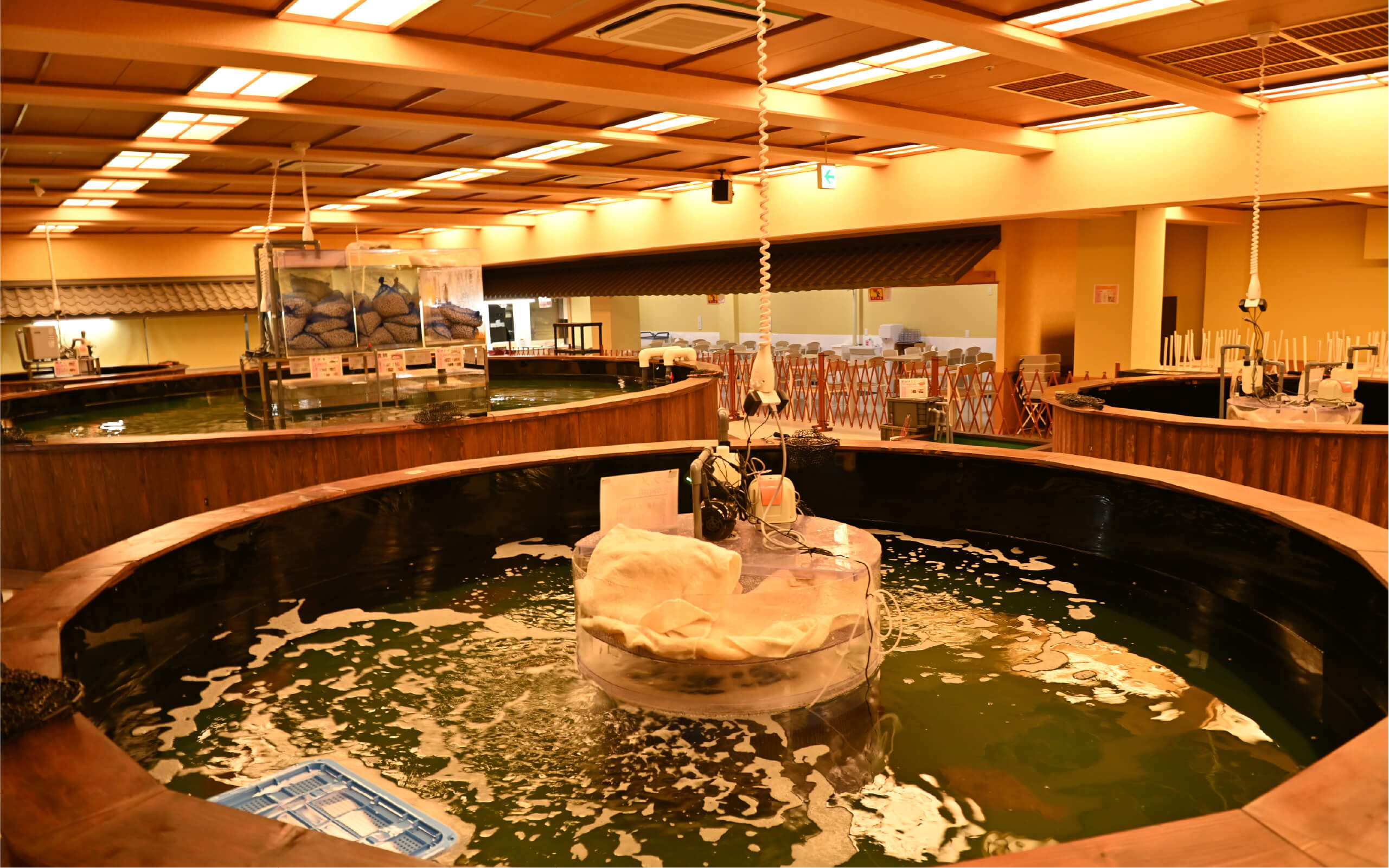 横浜釣り堀王国 龍宮城スパホテル三日月店
