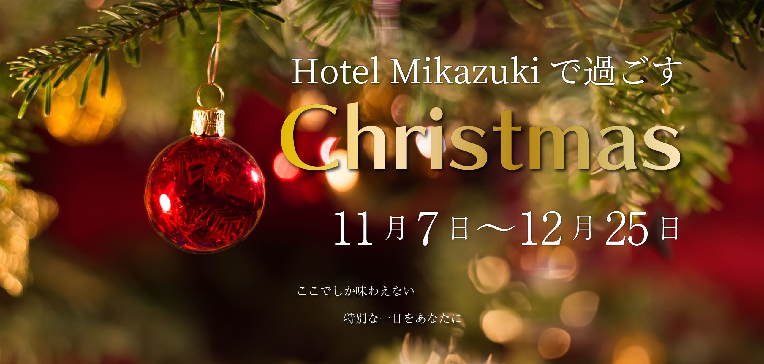 Hotel Mikazukiで過ごすchristmas2025