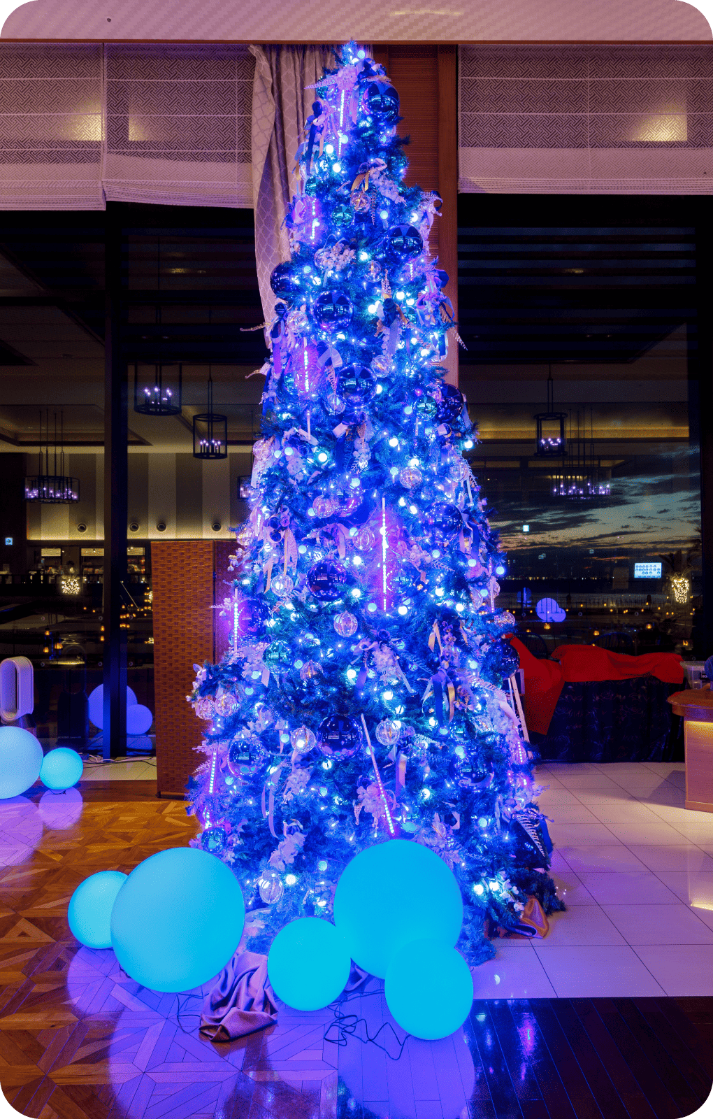 富士見亭　イルミネーション